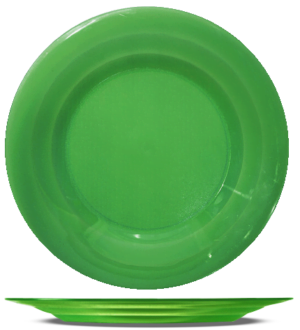 PLATO PLAYO ECONOMICO COLOR