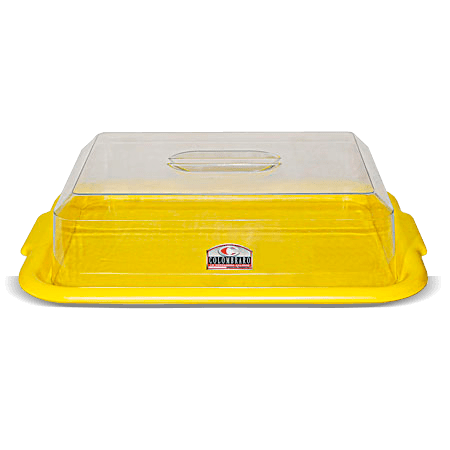 BANDEJA RECTANGULAR C/CAMPANA LI
