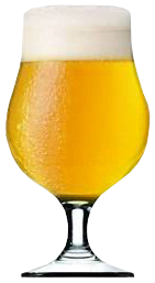 Nadir_3157 COPA DUBLIN CERVEZA 400ml