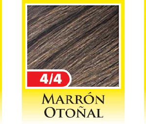 KIT Nº 4/4 MARRON OTOÑAL